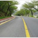 장복주유소 이미지