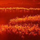 우심 - 고양시 일산서구 킨텍스로 255 | 우심