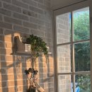 어썸바이츠(Awesome Bites) 이미지