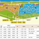 솔방울캠핑장 이미지