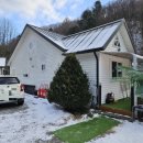 더 화이트벨리 이미지