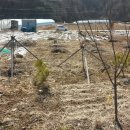 땅끝마을부동산중개사무소 이미지