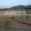 능서레포츠공원 축구장 이미지