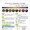 2017년 DV8 & BRUNSWICK CUP(강원) 4월16일 일요일 오전10시~ 이미지