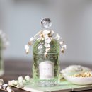 뮤게(muguet) 이미지