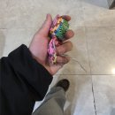 강원랜드 | 강원랜드 빅휠 후기 확률과 규칙