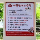 동탄 하이디펫 애견카페 방문후기 | 강아지랑 신나게 놀았어요
