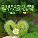 카펫코리아협동조합 이미지