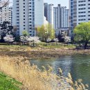 청수호수공원 이미지