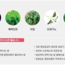 뷰티퀸 스킨케어 - 서구 | 뷰티퀸 스킨케어