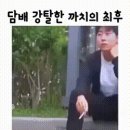 까치복사 이미지