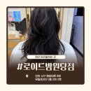 씨유 검단프라자 | 검단 미용실 로이드밤에서 완성한 하이레이어드펌 후기! (feat.성민 실장님)