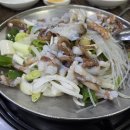 팔도낙지촌 이미지