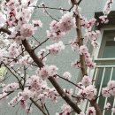 SM메디텍 이미지