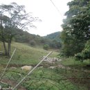 한샘목장 이미지