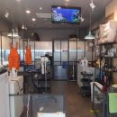 퐁퐁파피 이미지