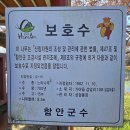 함안 검암산 &amp; 입곡저수지 둘레길 (25.11.14) 이미지