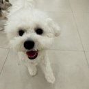 맘에든유치원 이미지