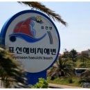 표선오토바이