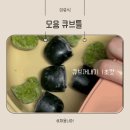 디자인토핑 | 모윰 큐브틀 이유식 큐브 보관 초기 토핑부터 후기 이유식까지 유용한 12구