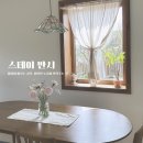 스테이반시 이미지