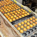 호시타코야끼 이미지