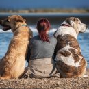 판교스포츠센터 이미지