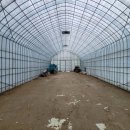 수원-0118 이미지