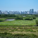 갯골생태공원 이미지