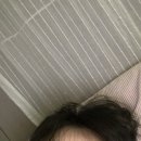 위미3리 | 제주 DAY 03-04 (범일분식, 지기내, 제주로또, 정원책방 피자, 털보네고양이, 라바북스, 팡송)