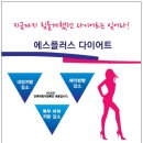아토러브편백숲