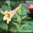 펜션빛뜨란 이미지