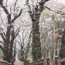 수봉궁도장 이미지