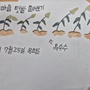 생명사랑텃밭가꾸기1호점18-마을텃밭 살펴보기 이미지