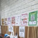 마루위의 고양이 | 천안고양이카페 추천! 100마리 고양이와 교감할 수 있는 냥이마루 방문 후기🐱