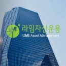 라임인터내셔날