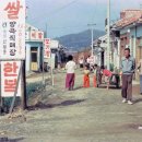 패션와우 이미지