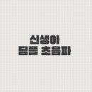 신생아 딤플 초음파 후기｜검사 꼭 해야 할까?