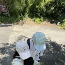 본가안흥찐빵둔내