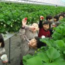 북삼초교(병설) 이미지