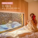 두동편백 | 제주도 독채 펜션 제주 서쪽 숙소 한경면 펜션 추천