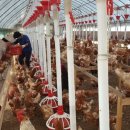 이화농장 이미지