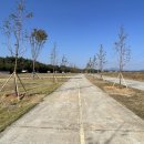 금산 와룡지구 2 이미지