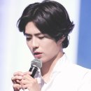 Blossom for you 이미지