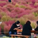 인해농원