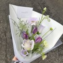 예스플리즈 이미지