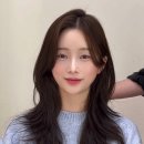 헤어비비디
