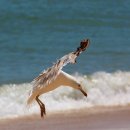 음악으로배우는영어 이미지