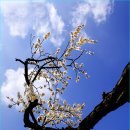 김해건설공업고등학교 이미지