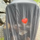 비바할인마트 | 파크뷰) 14개월 아기랑 비발디파크 2박 3일 여행 일정(조식, 앤트월드, 한우 맛집, 비바플렉스몰 회전목마)